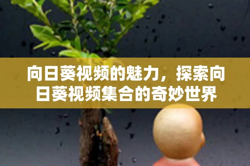 探索向日葵视频集合的奇妙世界图片