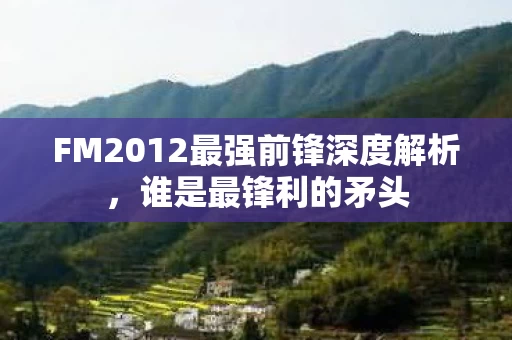 FM2012最强前锋深度解析图片