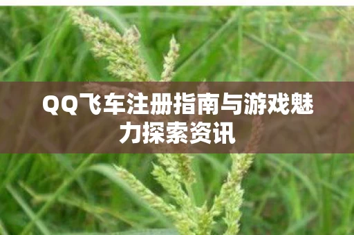 QQ飞车注册指南与游戏魅力探索资讯图片