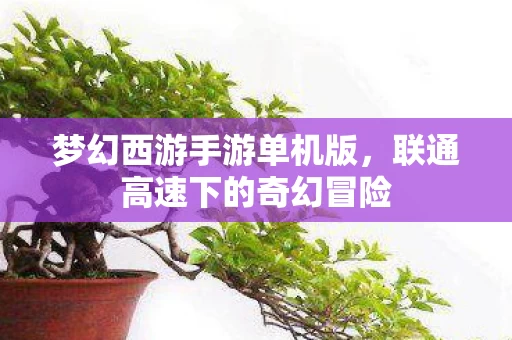 联通高速下的奇幻冒险图片