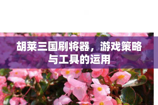 游戏策略与工具的运用图片