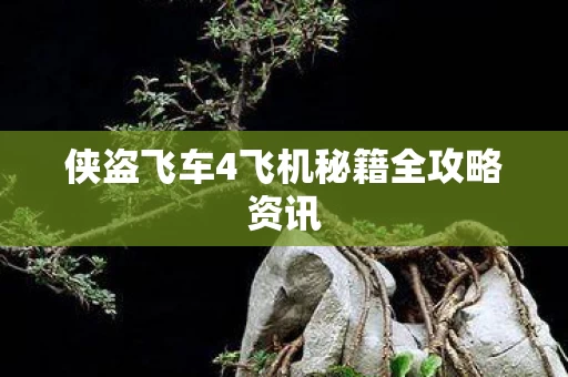 侠盗飞车4飞机秘籍全攻略资讯图片