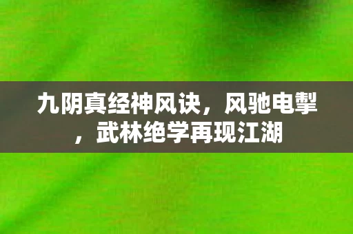 武林绝学再现江湖图片