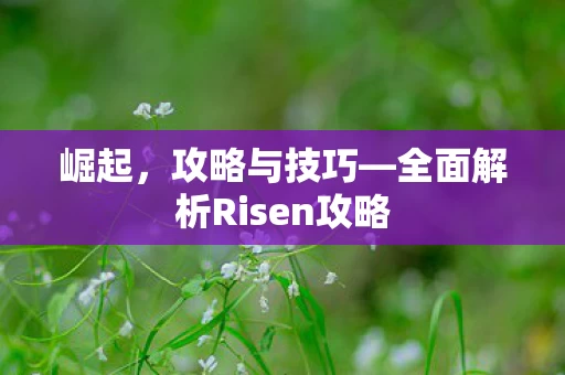 全面解析Risen攻略图片