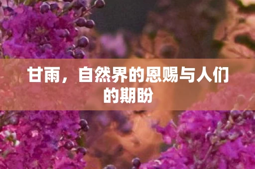 自然界的恩赐与人们的期盼图片