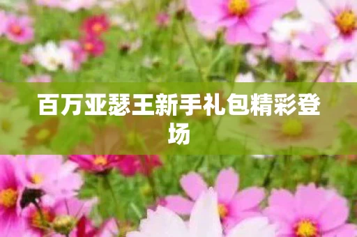 百万亚瑟王新手礼包精彩登场图片