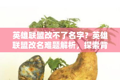 英雄联盟改名难题解析图片