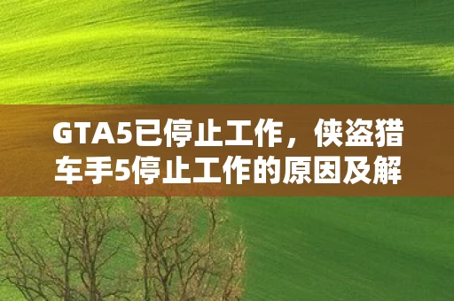 侠盗猎车手5停止工作的原因及解决方法图片