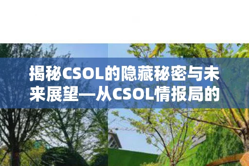 揭秘CSOL的隐藏秘密与未来展望图片