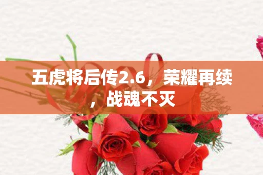 五虎将后传2图片