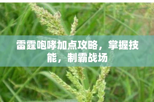 雷霆咆哮加点攻略图片
