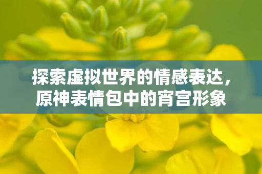 探索虚拟世界的情感表达图片
