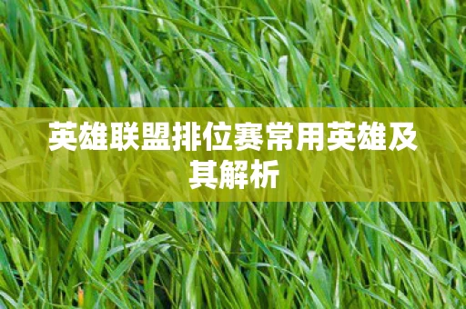 英雄联盟排位赛常用英雄及其解析图片