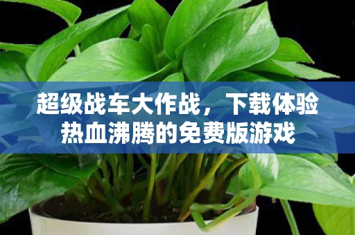 下载体验热血沸腾的免费版游戏图片