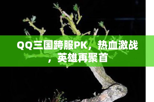QQ三国跨服PK图片