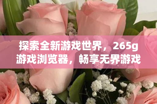 265g游戏浏览器图片