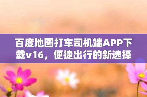 百度地图打车司机端APP下载v16图片