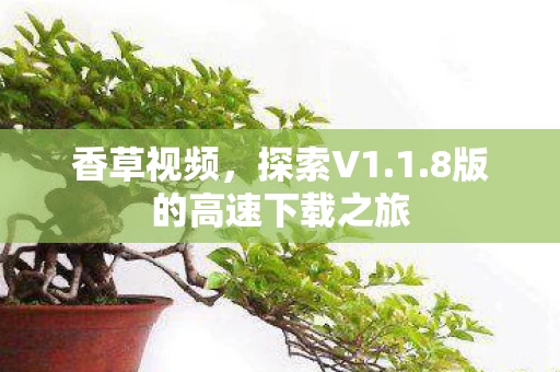 8版的高速下载之旅图片