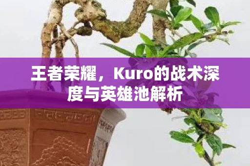 Kuro的战术深度与英雄池解析图片