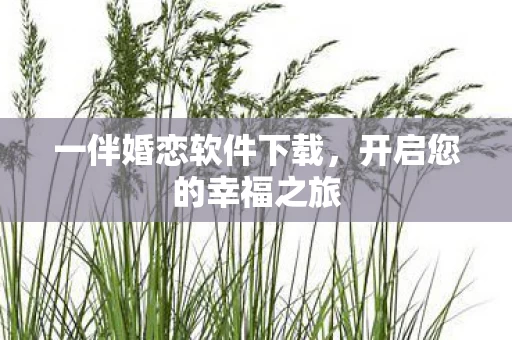 一伴婚恋软件下载图片