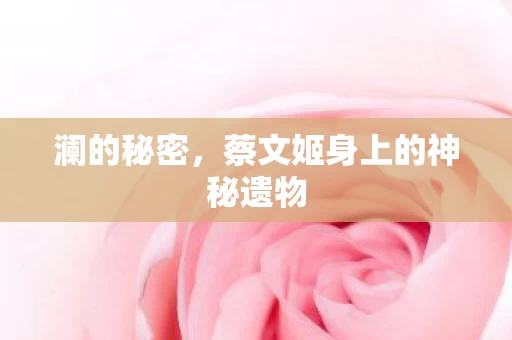蔡文姬身上的神秘遗物图片