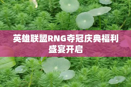 英雄联盟RNG夺冠庆典福利盛宴开启图片