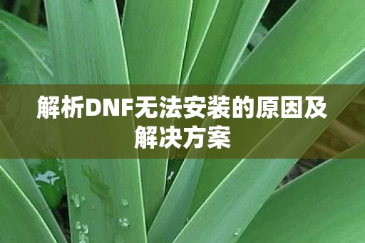 解析DNF无法安装的原因及解决方案图片