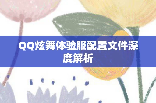 QQ炫舞体验服配置文件深度解析图片