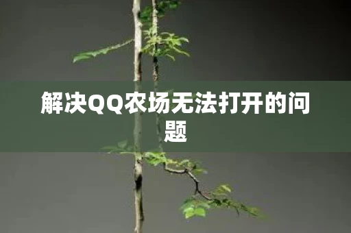 解决QQ农场无法打开的问题图片