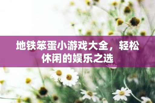 地铁笨蛋小游戏大全图片