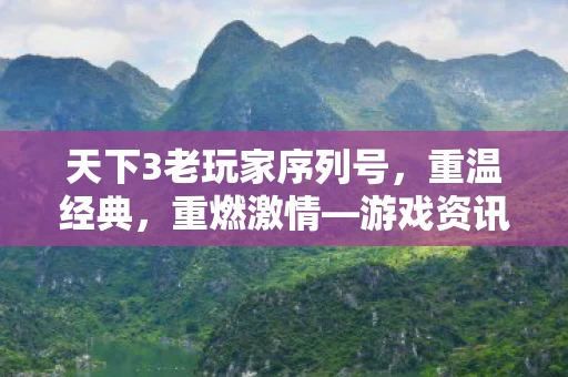 天下3老玩家序列号图片