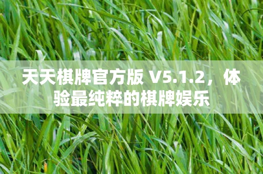 天天棋牌官方版 V5图片