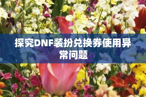 探究DNF装扮兑换券使用异常问题图片