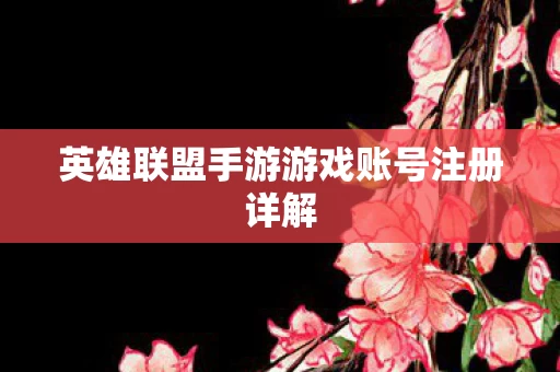 英雄联盟手游游戏账号注册详解图片