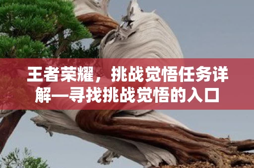 寻找挑战觉悟的入口图片