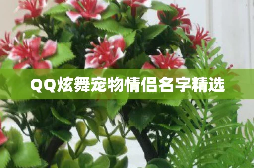 QQ炫舞宠物情侣名字精选图片