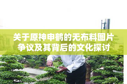 关于原神申鹤的无布料图片争议及其背后的文化探讨图片