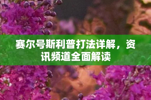赛尔号斯利普打法详解图片