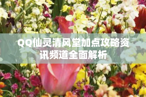 QQ仙灵清风堂加点攻略资讯频道全面解析图片