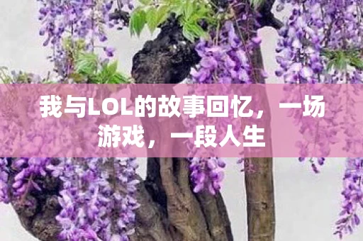 我与LOL的故事回忆图片