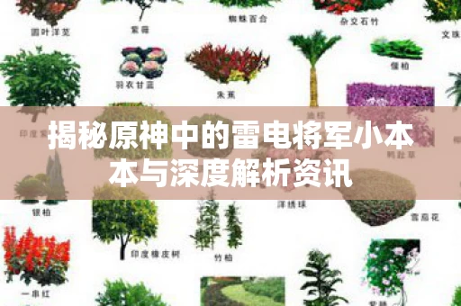 揭秘原神中的雷电将军小本本与深度解析资讯图片