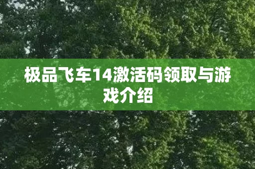 极品飞车14激活码领取与游戏介绍图片