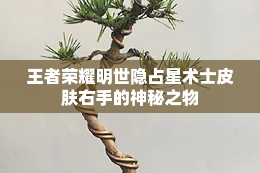王者荣耀明世隐占星术士皮肤右手的神秘之物图片