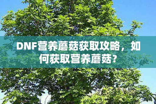 DNF营养蘑菇获取攻略图片