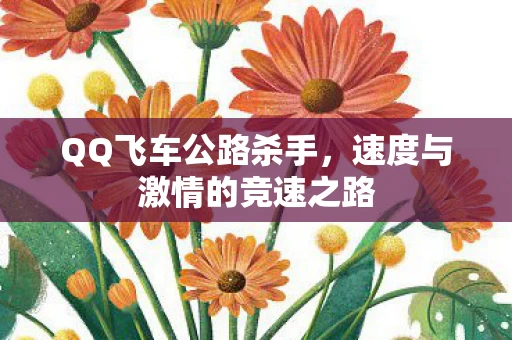 速度与激情的竞速之路图片