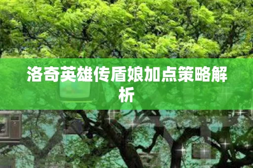 洛奇英雄传盾娘加点策略解析图片