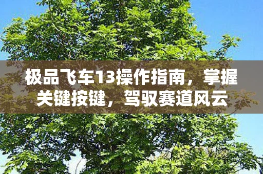 极品飞车13操作指南图片