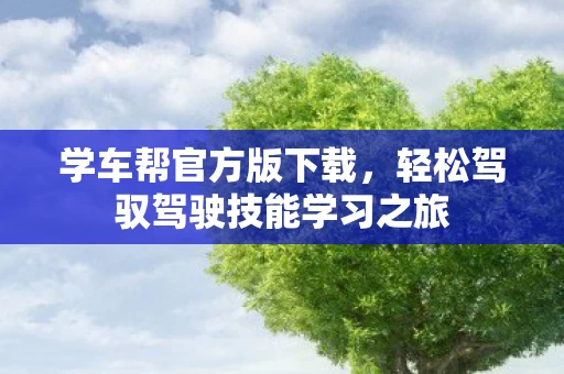 轻松驾驭驾驶技能学习之旅图片