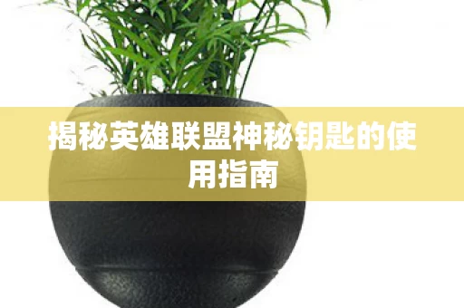 揭秘英雄联盟神秘钥匙的使用指南图片