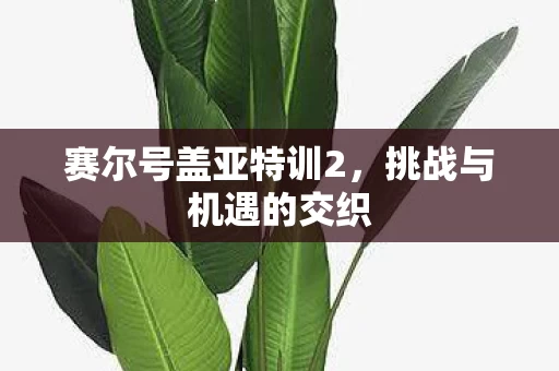 赛尔号盖亚特训2图片